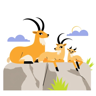A family of ibex resting together on a sunlit rocky ledge. The ledge is adorned with various gray and brown stones, with a patch of green grass peeking through in the cracks. The ibex family consists of a large male ibex with impressive curved horns, a smaller female ibex with a lighter tan coat, and two playful young ibex with soft fur. Sunlight casts warm, golden highlights on their fur, creating a soft glow. In the background, a bright blue sky with a few fluffy white clouds enhances the joyful scene.