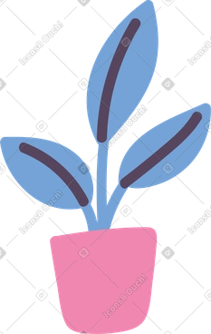 Home plant PNG, SVG