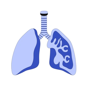 3D lungs with intricate spiral patterns, suggesting complexity