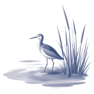 Sandpiper