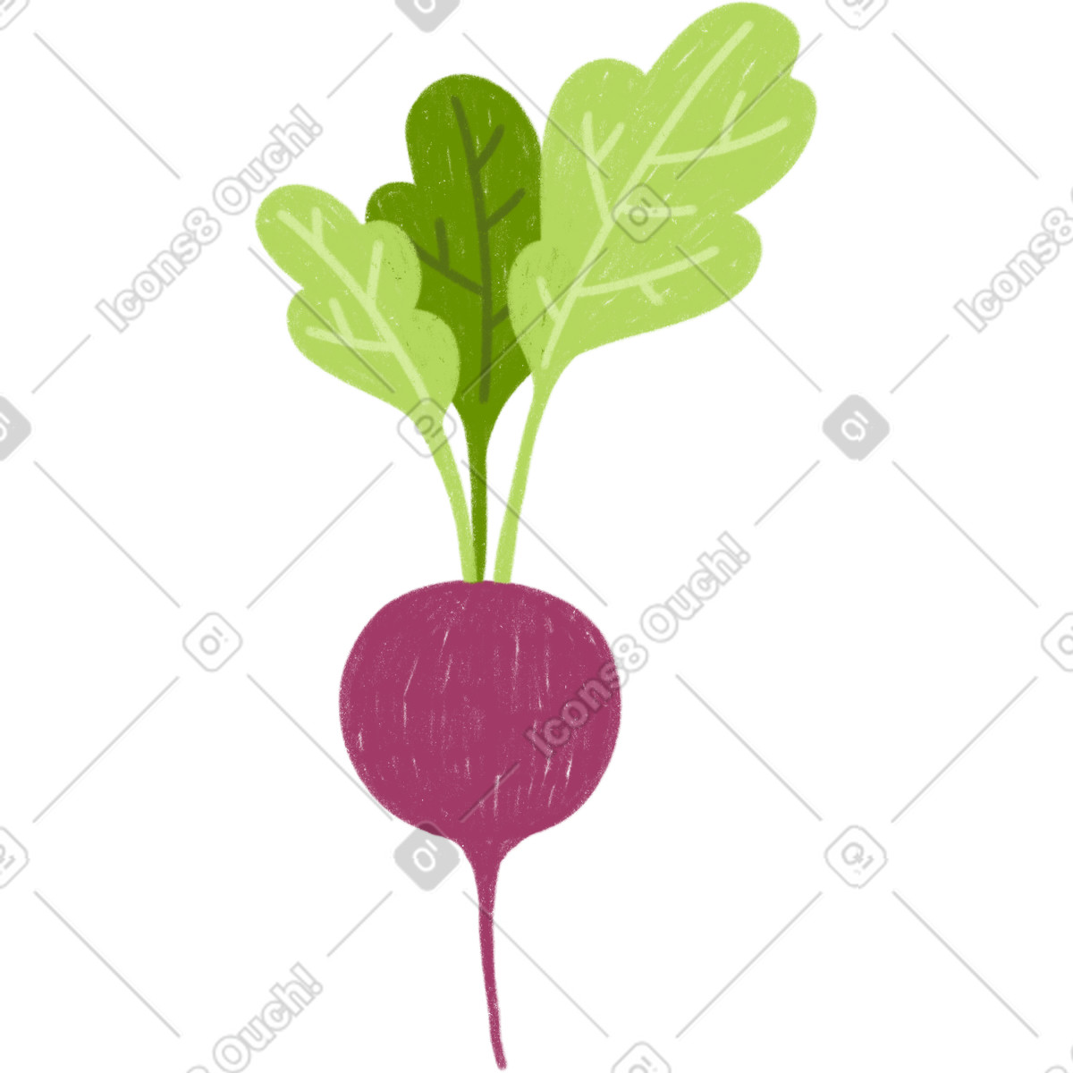 Ilustración Radish en estilo Cozy a descargar en PNG y SVG