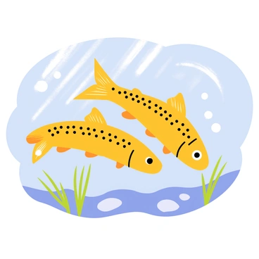 Two brown trout with dark spots on their golden-brown bodies are swimming side by side in a clear water stream. The water is crystal clear, revealing smooth pebbles and patches of green aquatic plants at the bottom. Sunlight filters through the surface, creating shimmering patterns on the trout and the streambed. The trout are gracefully gliding through the water, with their fins spread out elegantly. Small bubbles trail behind them as they move, adding a sense of liveliness to the serene atmosphere of the stream.