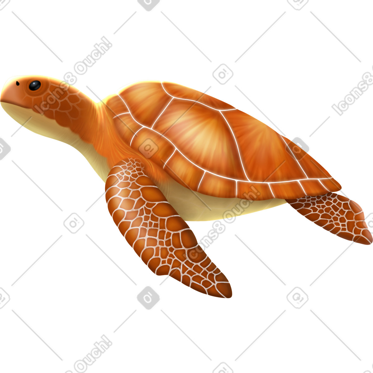Turtle middle illustration in Props style download in PNG, SVG