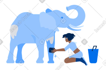Caring woman washing an elephant PNG, SVG
