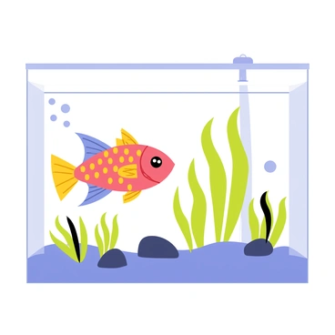 Snapper