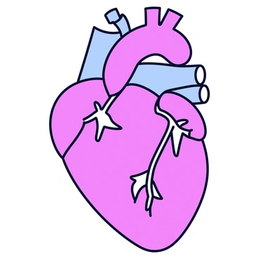 A detailed illustration of a human heart. The heart is shown in a realistic anatomical style, with clear visible structures. Each part of the heart is labeled, including the aorta, pulmonary arteries, left atrium, right atrium, left ventricle, right ventricle, and the valves. The illustration is positioned against a plain background to emphasize the heart and its components.
