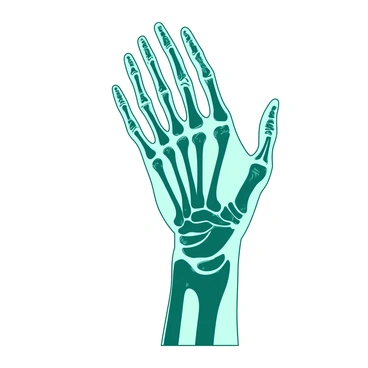 A detailed illustration of a human hand is depicted, showcasing the skeletal structure with visible bones and tendons. The hand is positioned with the palm facing upward, allowing for a clear view of the phalanges, metacarpals, and carpals. The bones are highlighted in a duotone color scheme of teal and white. Tendons are illustrated as fine lines connecting the bones to the muscles, providing insight into the hand's anatomy. The skin is partially transparent, revealing the underlying structure. Each finger is distinctly visible, emphasizing the intricate details of human anatomy.