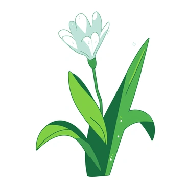 Transforming stills animation