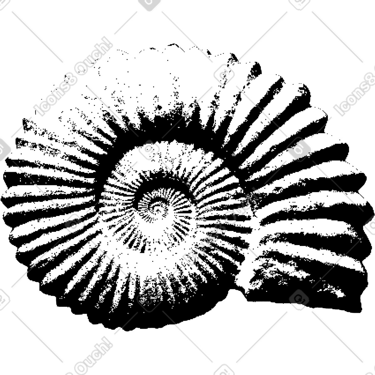 Fossil shell illustration in Bitmap style download in PNG, SVG