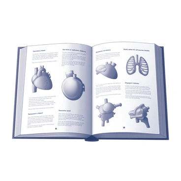 A textbook page filled with simple anatomical illustrations designed for children. The page features clear, labeled diagrams of human anatomy such as the heart, lungs, and skeleton. Each illustration is accompanied by straightforward descriptions in a friendly font. The layout is structured to allow easy navigation and understanding, with sections clearly defined. The illustrations are engaging and visually accessible, designed to captivate a young audience.