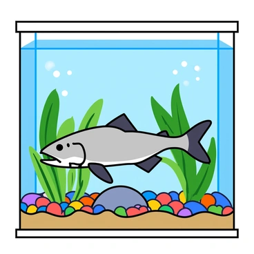 A vibrant aquarium tank filled with clear water and various aquatic plants. Inside, a piranha with sharp teeth and a sleek, silver body is swimming calmly. The tank is well-lit, casting reflections on the water's surface. Colorful pebbles line the bottom of the tank, and a few small bubbles rise gently from a hidden air stone. Shadows from the plants create interesting shapes in the water, adding depth to the scene.