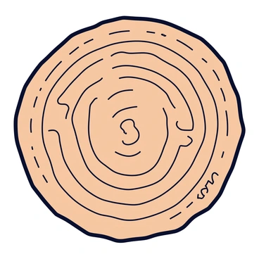 A close-up view of a tree trunk section displaying intricate growth rings. Each growth ring is clearly defined, showcasing the variations in color and texture that indicate the age of the tree. Alongside the rings are labeled markers indicating the approximate age at different points. The surface of the wood is smooth with a light brown hue, revealing the natural grain patterns.
