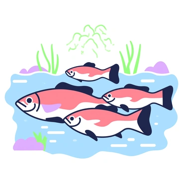 A group of redfish is swimming together in the ocean. The fish are arranged in a tight formation, showcasing their streamlined bodies and distinctive fins. The surrounding water is moving gently, creating ripples around them. Sunlight filters down from above, illuminating the fish and casting patterns on the ocean floor. In the background, faint silhouettes of underwater plants and rocks are visible, adding depth to the scene.