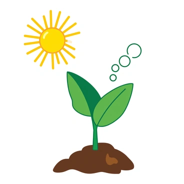 A yellow sun is positioned at the top left corner, with bright rays extending outward. Below the sun, there is a green plant with broad leaves and a sturdy stem, rooted in rich brown soil. To the right of the plant, small white bubbles are rising into the air, representing oxygen being released. The overall composition clearly illustrates the relationship between the sun, the plant, and the oxygen produced during the process of photosynthesis.