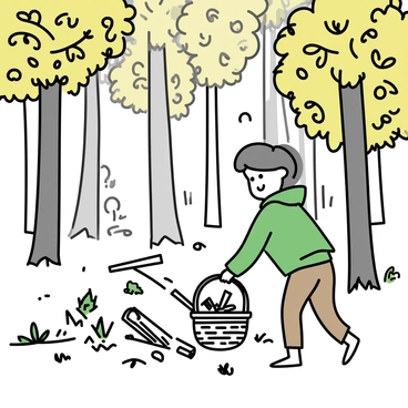 A person in a green jacket and brown pants is bending down to pick up some sticks and logs on the forest floor. The dense forest is filled with tall trees that have lush green leaves. Sunlight filters through the branches, casting dappled shadows on the ground. There are various sizes of sticks and logs scattered around, and the person is placing them into a small woven basket. Small ferns and patches of moss can be seen among the fallen leaves and twigs. The atmosphere appears peaceful and focused on gathering materials for a campfire.