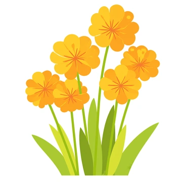 Marigold