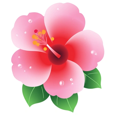 A close-up view of a vibrant "hibiscus" flower showcases its large, richly colored petals, radiating shades of red and pink. The petals are delicately curved, and their texture is smooth and velvety. "Dew drops" shimmer on the surface of the petals, reflecting light and adding a sparkling effect. Beneath the flower, lush green leaves provide a backdrop, contributing to the tropical feel of the image. The lighting enhances the vivid colors, creating an inviting and fresh appearance.
