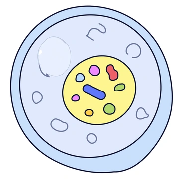 A detailed view of a lysosome as seen through a high-powered microscope. The lysosome is spherical in shape, surrounded by a thin, smooth membrane. Inside, there are various enzymes and waste materials, depicted as colorful, small particles and structures. The background consists of a softly blurred cellular environment with faint outlines of other organelles. The microscope's lens adds a slight sheen to the surface, emphasizing the magnification and clarity of the lysosome's features.