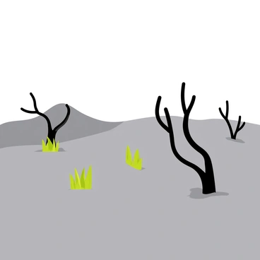 A landscape covered in gray volcanic ash, creating a textured ground that stretches across the scene. Scattered trees with charred trunks and sparse, resilient leaves rise from the ash, their shapes jagged and uneven. Patches of hardy green plants peek through the gray, adding contrast to the monochromatic landscape. The sky above is overcast, casting a muted light over the entire area, enhancing the somber tones of the volcanic terrain.