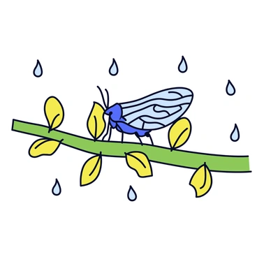 A cicada perched on a green branch, with its wings slightly open, displaying intricate patterns. The branch has small, vibrant green leaves around it. Raindrops are falling gently around the cicada, creating tiny splashes upon contact with the leaves. The background features a lightly blurred depiction of a summer garden, adding depth to the scene.
