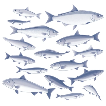 A collection of various fish species displayed in a decorative pattern. Each fish is uniquely shaped, showcasing distinct features such as fins, scales, and tails. The fish are oriented in different directions, creating a dynamic composition. Some fish have elongated bodies while others are more rounded. The arrangement allows for overlapping and intertwining of the fish, adding depth to the pattern. The background is filled with subtle wave-like lines to suggest movement in water. Each fish is detailed with intricate linework emphasizing their unique designs.