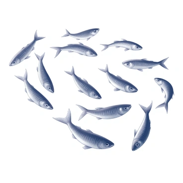A large school of sardines is swimming in a synchronized motion. The fish are streamlined and shimmer as they create intricate shapes in the water. The sardines are packed closely together, forming a dynamic, swirling mass. Each sardine has a pointed snout and forked tail, and their scales reflect light as they twist and turn in unison. The scene captures the fluidity and precision of their movements, showcasing the beauty of their collective behavior.
