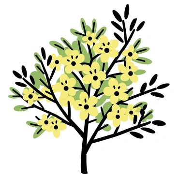 A forsythia bush covered in vibrant yellow flowers, showcasing numerous blossoms that are fully opened. The bush is densely branched, and the leaves are just starting to unfurl in early spring. The bright yellow flowers contrast sharply against the green foliage, creating a striking visual display. The scene captures the essence of renewal and the arrival of warmer weather.