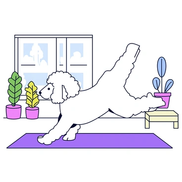 A poodle stretching in a yoga pose on a mat in a peaceful room