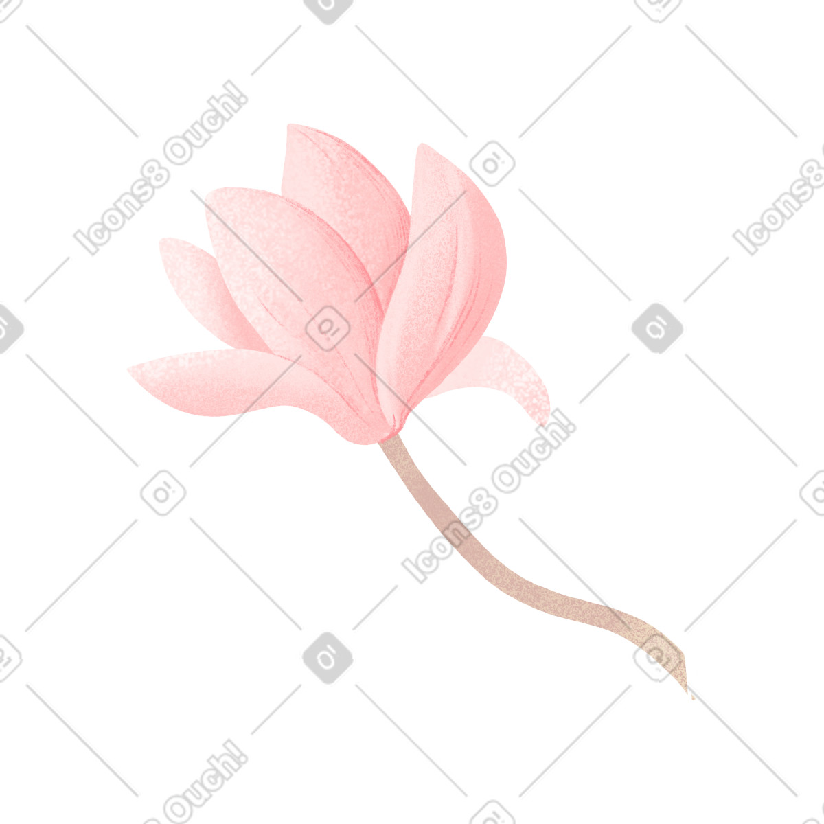 Floral スタイルの Opened magnolia bud のイラストをPNG、SVG形式でダウンロード