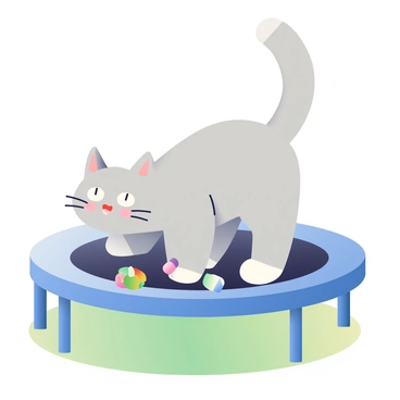 A curious cat with light gray fur and white paws is cautiously exploring a trampoline. Its tail is held high, showing excitement, and its eyes are wide open, reflecting a sense of wonder. The trampoline is surrounded by a green grassy area, and a few colorful toys are scattered on the surface. The sunlight casts soft shadows on the trampoline, highlighting the cat's whiskers and the texture of its fur.