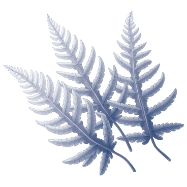 A close-up view of fern leaves showcasing the intricate details of the leaves' texture. The leaves are finely divided, displaying their unique frond shape. The underside of the leaves reveals a complex pattern of spore sacs, arranged in clusters. Each spore sac is distinct, protruding slightly from the surface, adding depth to the overall composition. The background is softly blurred to keep the focus on the detailed patterns of the fern leaves.