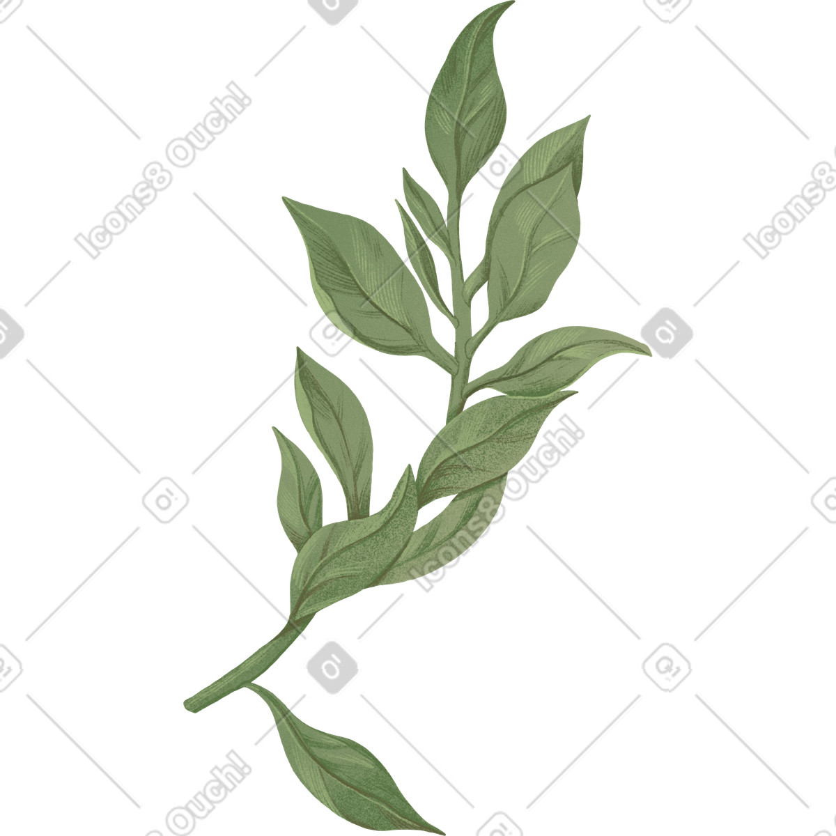 Illustration Thick green branch with leaves dans le style Floral à télécharger aux formats PNG, SVG