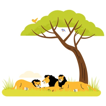 A pride of lions lounging peacefully under the broad canopy of an acacia tree. The lions have golden fur, with some having darker manes, and they are sprawled comfortably on the grass. The acacia tree has a thick trunk and a wide, leafy top providing ample shade. The safari plain features tall grass in the foreground and hints of distant hills in the background, bathed in warm sunlight. A few birds can be seen perched on the branches of the acacia tree.