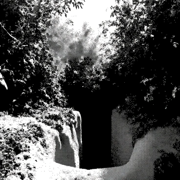 A trench is positioned amidst a dense arrangement of natural foliage. The trench has a rough, textured surface, blending seamlessly with the surrounding environment. Various types of plants, including shrubs and vines, cover its edges, while leaves and branches create a protective canopy above. Sunlight filters through the foliage, casting intricate shadows and highlighting the contrast between the trench and the vibrant greenery.