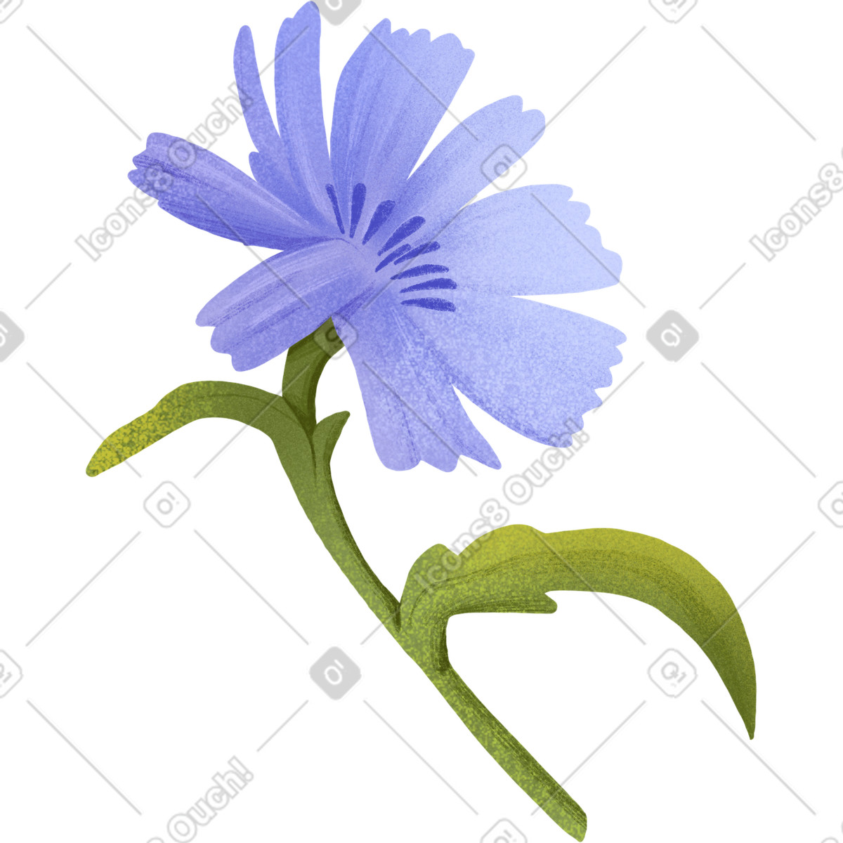 Ilustración Aciano azul en estilo Floral a descargar en PNG y SVG
