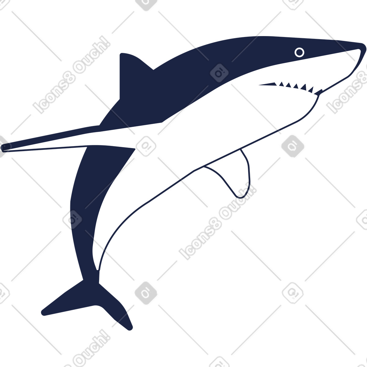Illustration Requin dans le style Urban Line à télécharger aux formats PNG, SVG