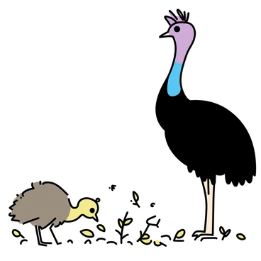 A fluffy cassowary chick, covered in soft brown and yellow down feathers, is pecking at the ground among fallen leaves and twigs. The chick looks curious and attentive, with its small beak open slightly as it investigates its surroundings. Nearby, a larger cassowary, the mother, stands tall with a glossy black body and a striking blue and violet-colored neck. She gazes protectively at her chick, with a slight tilt of her head, wearing a distinctive casque atop her head. The forest floor is scattered with greenery and dappled sunlight filtering through the trees, creating a calm atmosphere.