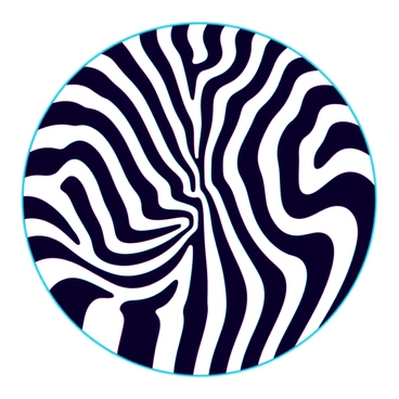 An optical illusion with black and white radial stripes creating a sense of motion