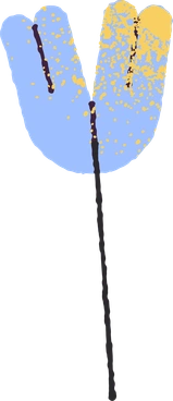 Flower PNG, SVG