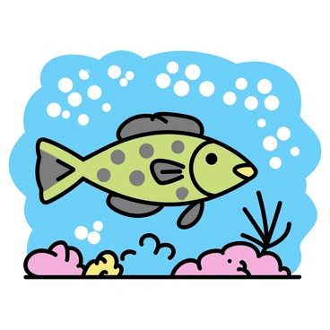 Grouper