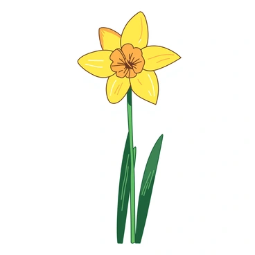A yellow daffodil stands upright on a slender green stem. The petals of the daffodil are flared and trumpet-shaped, showcasing their intricate details. The shading on the flower transitions from a vibrant yellow at the edges to a softer hue towards the center, creating a gentle gradient. The green stem has subtle lines that indicate texture, adding depth to the overall appearance of the daffodil. A few slender green leaves extend from the base of the stem, complementing the flower's elegant posture.