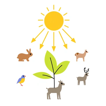 A diagram showing a large yellow sun with rays extending outward. Below the sun, there are green plants with broad leaves, positioned in the center of the image, absorbing sunlight. Arrows in a bright color indicate energy transfer from the sun to the plants. Surrounding the plants are various animals, such as a brown rabbit, a colorful bird, and a gray deer, each connected to the plants with arrows that illustrate the flow of energy from the plants to the animals. The background is a light blue, representing the sky.