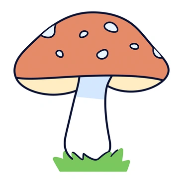 A single, large mushroom with a wide, rounded cap that has a rich brown color. The cap is covered with several clear dew drops that glisten in the light, highlighting its smooth texture. The mushroom has a sturdy white stem that tapers downwards. The mushroom is set against a simple grassy background, adding a touch of green around its base.